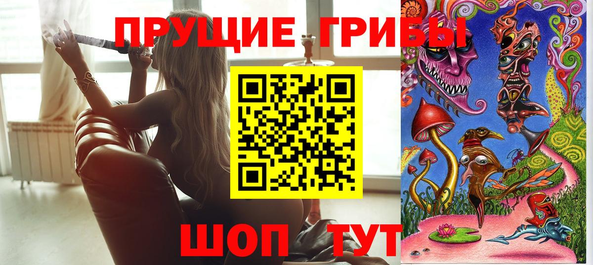 Алейск  Галлюциногенные грибы MAGIC MUSHROOMS  Галлюциногенные грибы Cubensis  Вход с VPN 