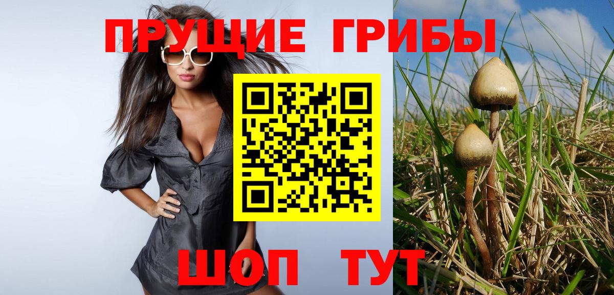 Псилоцибиновые грибы GOLDEN TEACHER Алейск